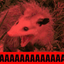 opòssum scrëm aaa